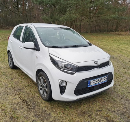 Kia Picanto cena 36900 przebieg: 85358, rok produkcji 2019 z Żerków małe 67